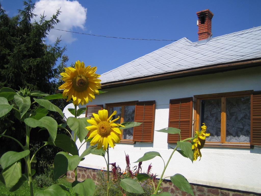 Almafas Vendeghaz Orseg Villa Kerkakutas Екстериор снимка